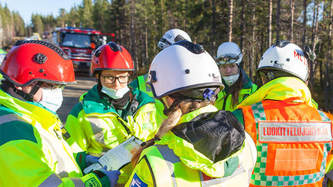 Planning teamwork in forest environment