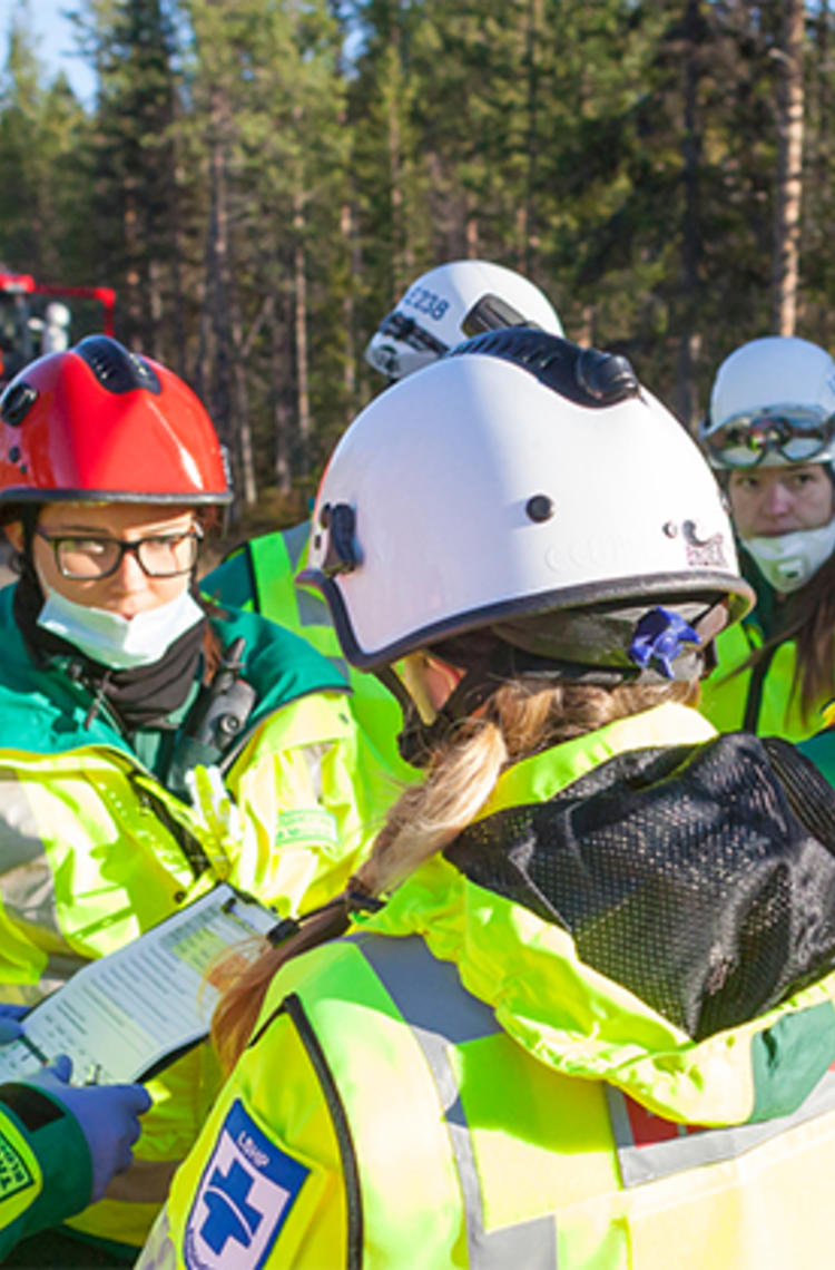 Planning teamwork in forest environment